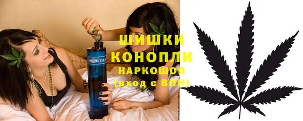 ГАЛЛЮЦИНОГЕННЫЕ ГРИБЫ Балахна