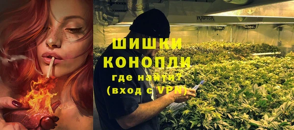 ГАЛЛЮЦИНОГЕННЫЕ ГРИБЫ Балахна