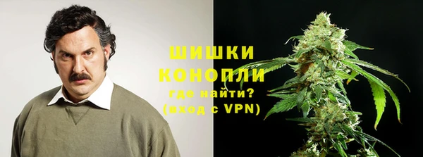 ГАЛЛЮЦИНОГЕННЫЕ ГРИБЫ Балахна