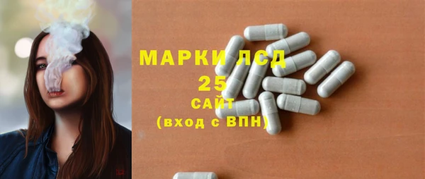 ГАЛЛЮЦИНОГЕННЫЕ ГРИБЫ Балахна
