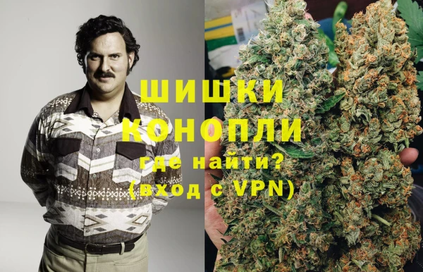 ГАЛЛЮЦИНОГЕННЫЕ ГРИБЫ Балахна