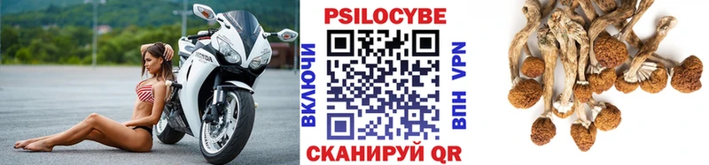 купить  цена  Заречный  Галлюциногенные грибы ЛСД 