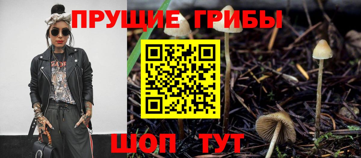 Заречный  Галлюциногенные грибы GOLDEN TEACHER  Галлюциногенные грибы мухоморы  Вход с VPN 